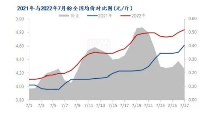 多重利好支撐，蛋市“蒸蒸日上”？-上海邦森