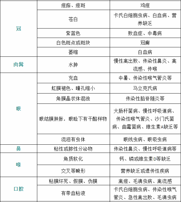 家禽疾病癥狀3